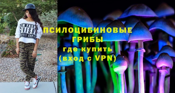 шишки Алексин