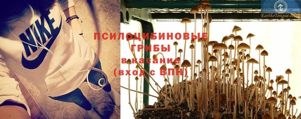 мяу мяу мука Алзамай
